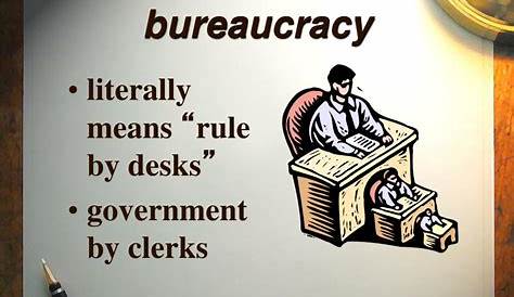 The Bureaucracy What is its function? United States