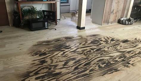 My DIY Plywood floor!!! Almost done!!! 2016 Plywood flooring diy, Diy