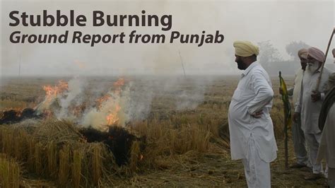 burnt meaning in punjabi