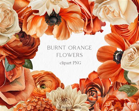 burnt orange flowers png