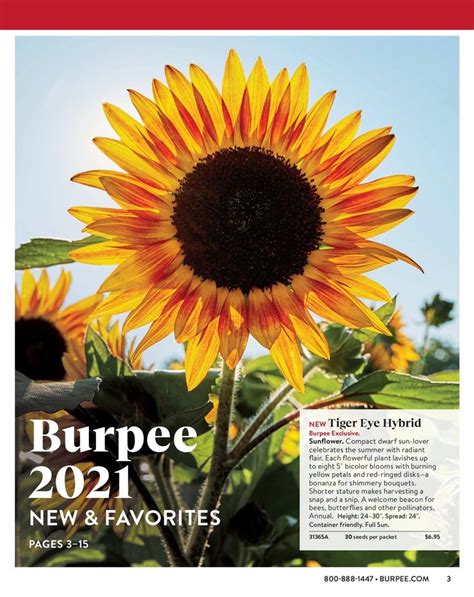 Burpees Online Catalog
