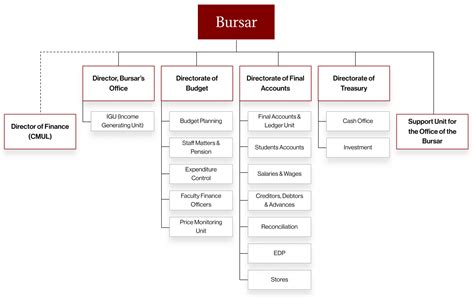 bursary university