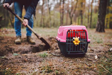 Burying Pets In Backyard