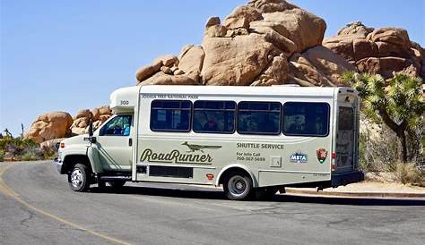 You can now tour Joshua Tree and the Southwest in a luxury bus built