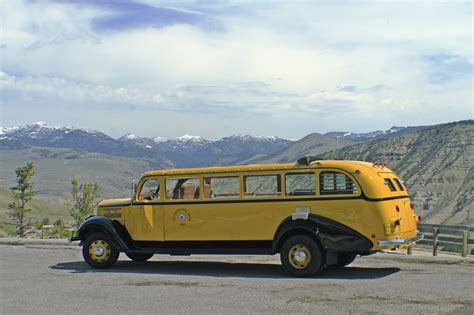 bus tours to yellowstone national park