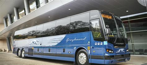 bus tracker greyhound