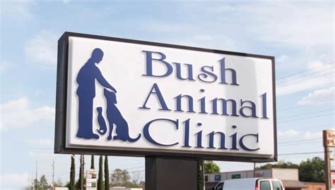 bush animal clinic albany ga