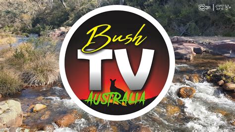 List Of Bush Tv Disney Plus Updated