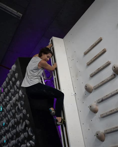 bush whacked border crack