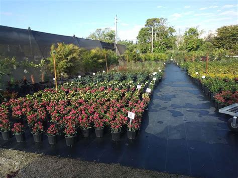 bushel stop locations