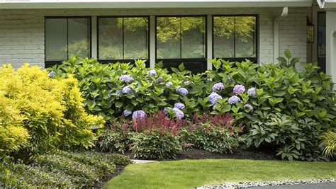 101 Front Yard Landscaping Ideas (Photos) Home Stratosphere
