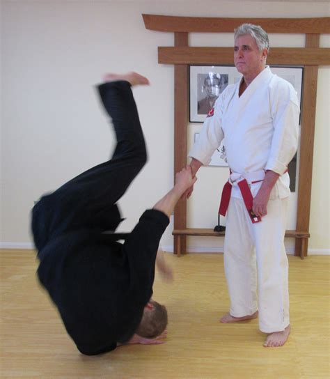 bushido kai martial arts