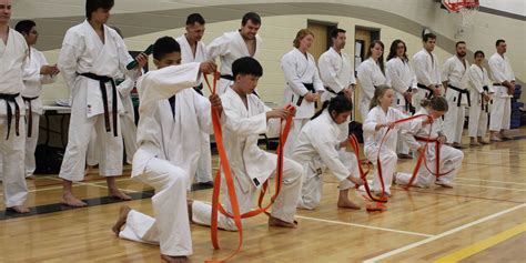 bushido karate association