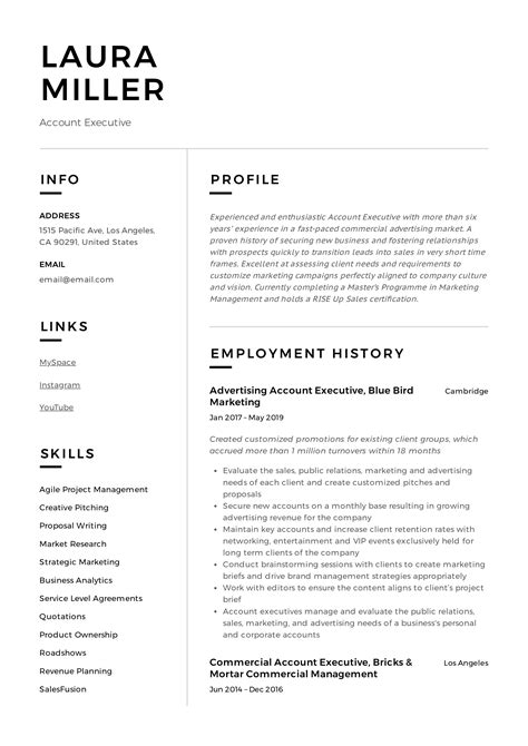 Best Account Executive Skills Resume Business Account