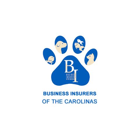 Business Insurers Of The Carolinas: Protecting Your Business With Comprehensive Insurance