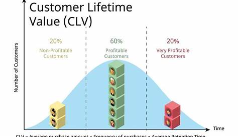 Business Intelligence Tools For Customer Lifetime Value Analysis
