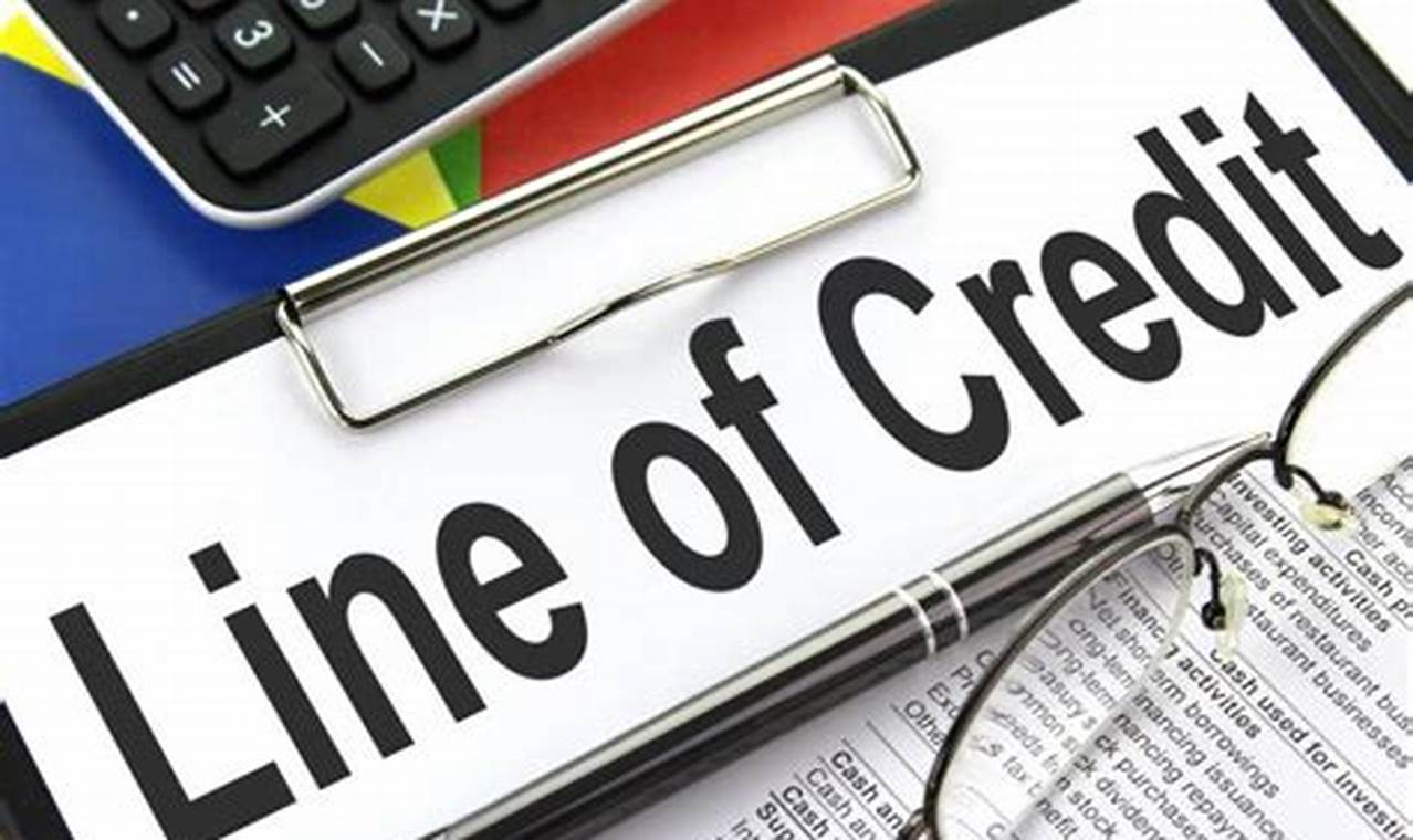 What are Business Lines of Credit (LOCs)?