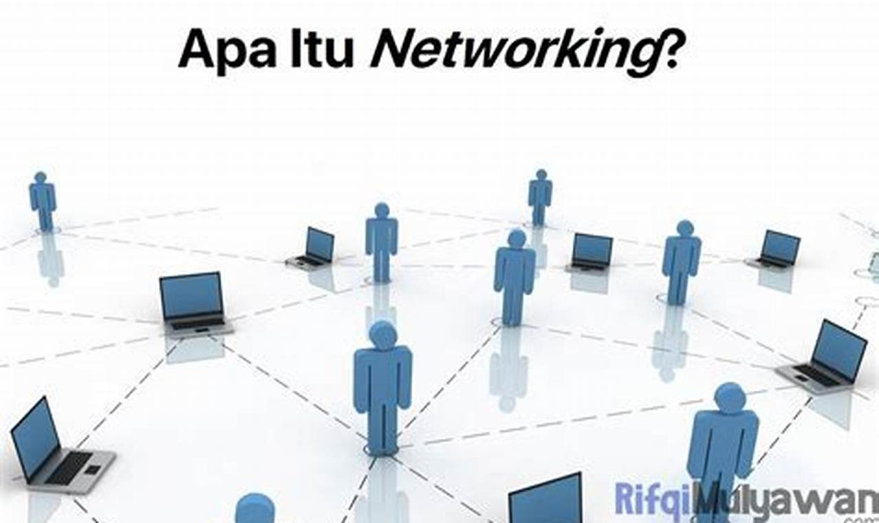 business network adalah