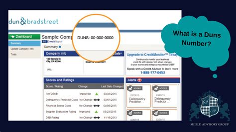 business duns number lookup