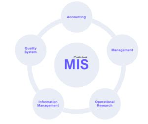 business processes in mis