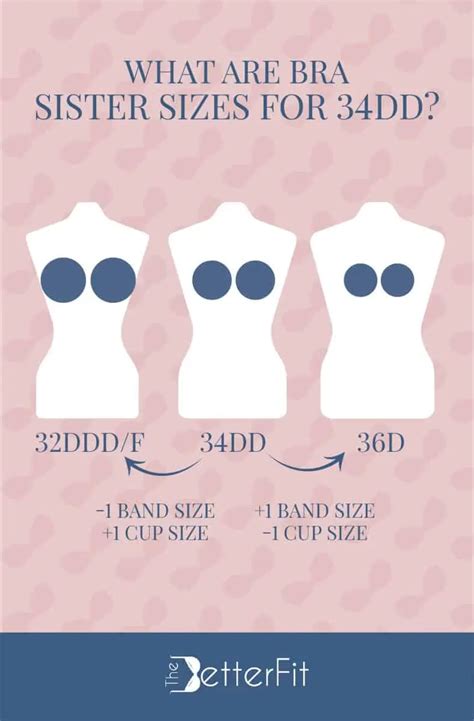 Bust Size For 34Dd