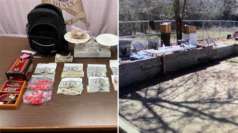 busted navarro county