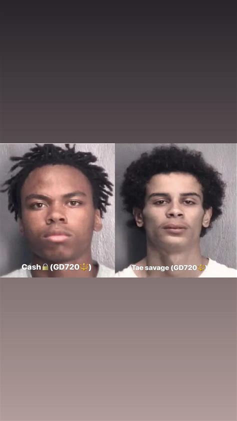 busted wilmington nc