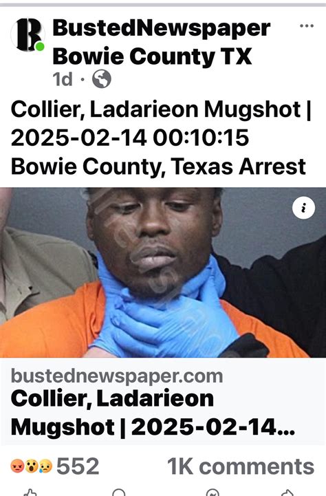 bustednewspaper com texas