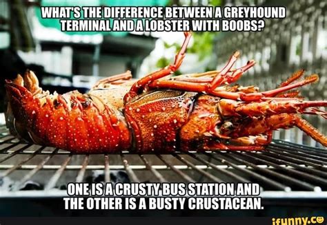 Busty Crustacean Joke