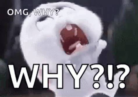 Meme GIF Find & Share on GIPHY