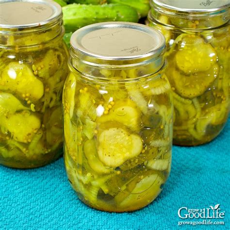 Butter Chip Pickles