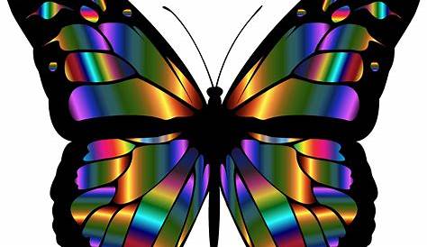 Download Flying Butterfly Png Image HQ PNG Image | FreePNGImg