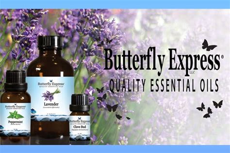 May Specials Butterfly express oils, Essential oils work, Essential oils