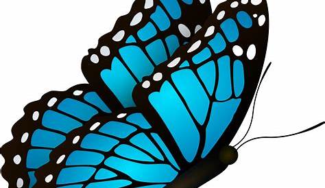 Butterfly Blue Phengaris alcon - blue butterfly png download - 2909*