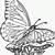 butterfly free printable coloring pages