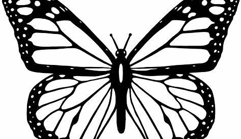 Cute Line Art Butterfly Simple Transparent Abstract, Butterfly, Line