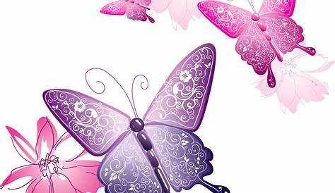 22+ Vector Butterfly Png Free
