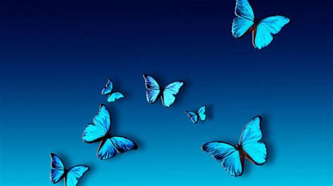 Enchanting Butterfly Background Images: A Delightful Addition to Your Digital Space for Nature Lovers