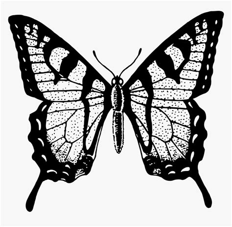butterfly clipart black and white png