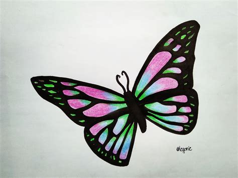 butterfly drawing cool