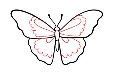 butterfly drawing pattern