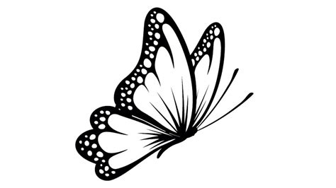 butterfly drawing side view
