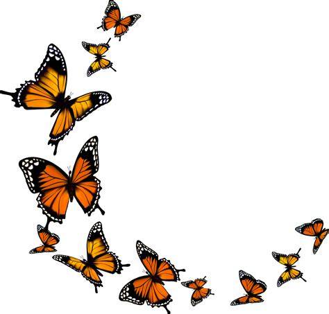 butterfly drawing transparent background