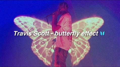 Butterfly Effect Lyrics Video
