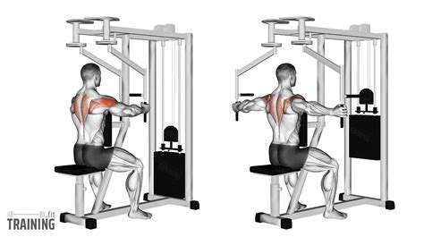 Butterfly Exercise For Back