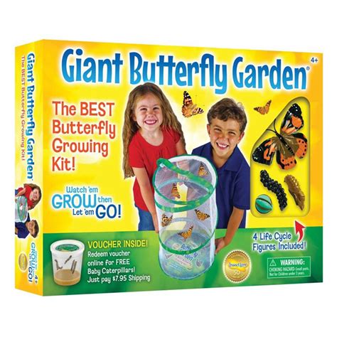 butterfly garden kit