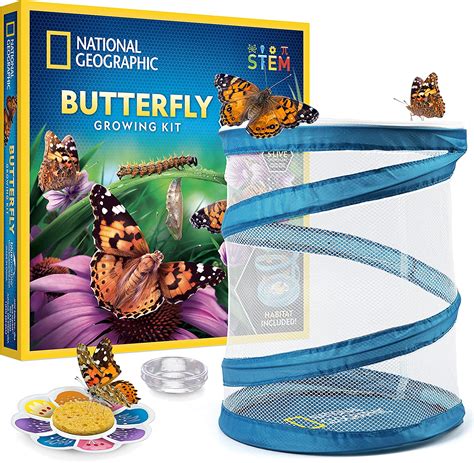Butterfly Growing Kit Instructions