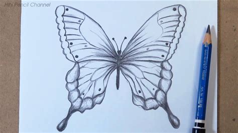 Butterfly Head Drawing