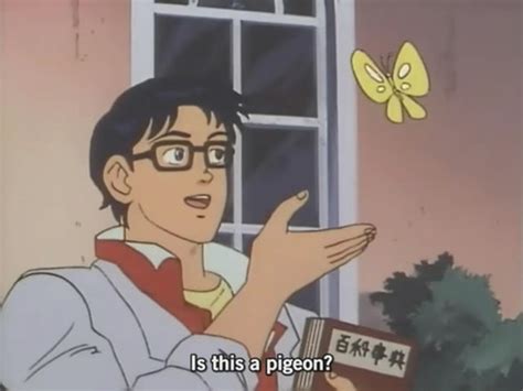 Anime Guy With Butterfly Meme Girl and butterfly Wallpaper and Background Image To