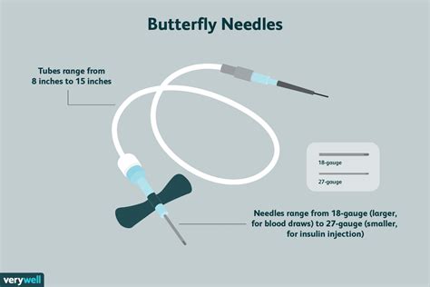 butterfly needle drawing